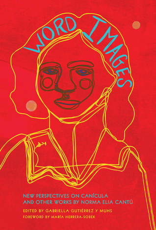 Read online Word Images: New Perspectives on Canícula and Other Works by Norma Elia Cantú - Gabriella Gutiérrez y Muhs | PDF