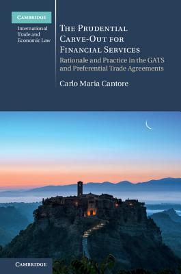 Read online The Prudential Carve-Out for Financial Services - Carlo Cantore | ePub