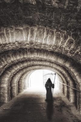 Read The Reaper Journal: 150 Page Lined Notebook/Diary - NOT A BOOK | PDF