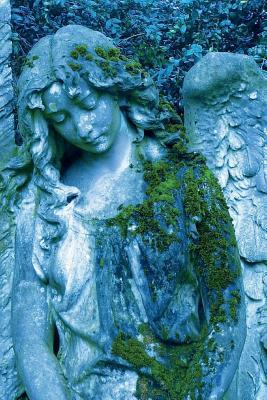 Read online Mourning Figure Journal: 150 Page Lined Notebook/Diary - NOT A BOOK | PDF